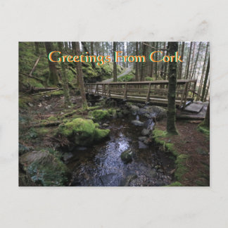 Cork Ireland Postcard Postkarte
