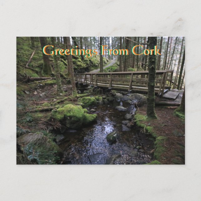 Cork Ireland Postcard Postkarte (Vorderseite)