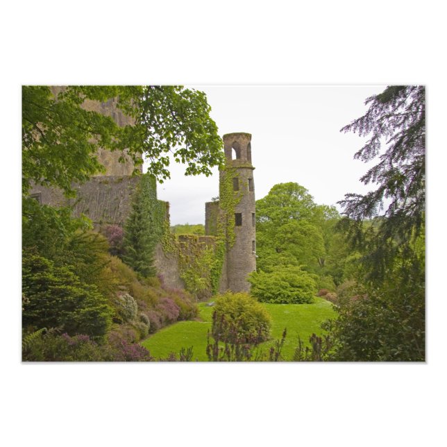 Cork, Irland. Das berüchtigte Schloss Blarney 2 Fotodruck (Vorne)