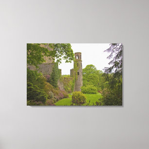 Cork, Irland. Das berüchtigte Schloss Blarney 2 Leinwanddruck