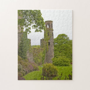 Cork, Irland. Die berüchtigte Burg Blarney 2