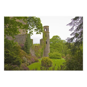 Cork, Irland. Die berüchtigte Burg Blarney 2 Fotodruck