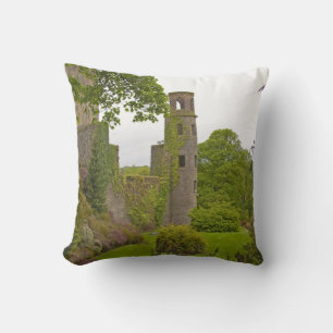 Cork, Irland. Die berüchtigte Burg Blarney 2 Kissen