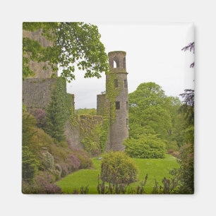 Cork, Irland. Die berüchtigte Burg Blarney 2 Magnet