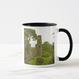 Cork, Irland. Die berüchtigte Burg Blarney 2 Tasse