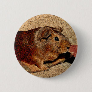 Corkboard Blick-Meerschweinchen Button