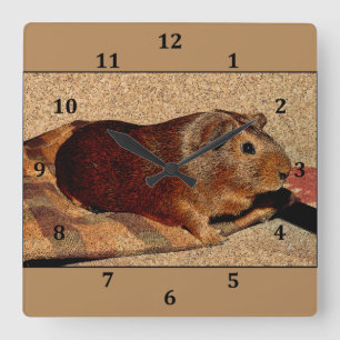 Corkboard Blick-Meerschweinchen Quadratische Wanduhr