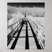 Corkscrew Swamp Sanctuary boardwalk, Florida,