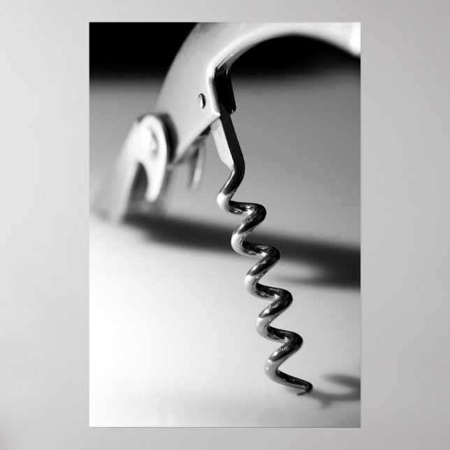 Corkvis, une vue différente - Poster (Devant)