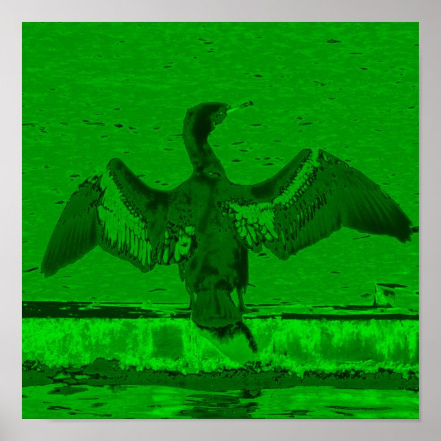 Cormoran Display Poster (Vorne)