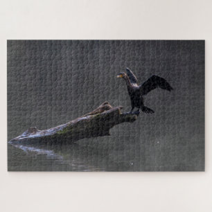 Cormorant