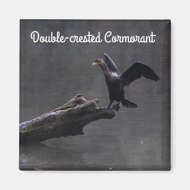 Cormorant Magnet (Vorne)