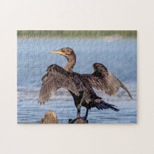 Cormorant mit Doppelboden am Champlain-See