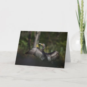 Cormorant Nature Foto Karte