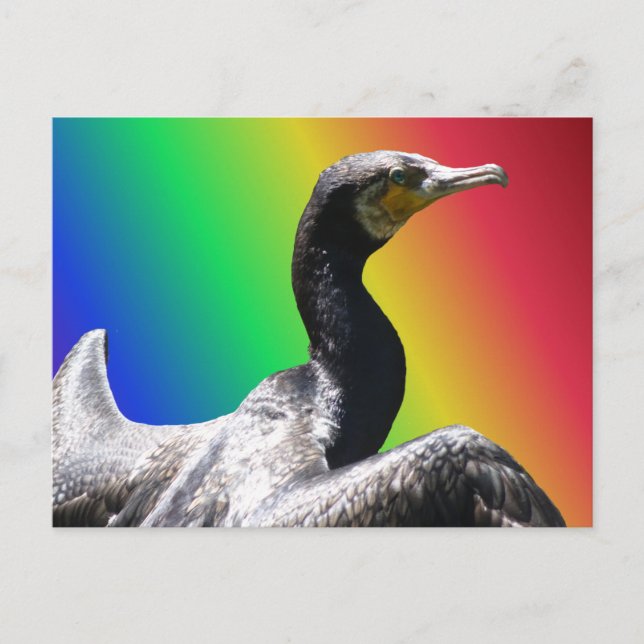 Cormorant Rainbow DIY Postkarte (Vorderseite)