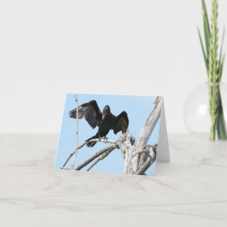 Cormorant using wings to balance karte