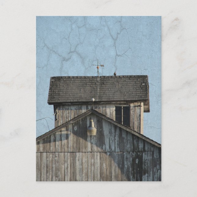 Corn Crib Postkarte (Vorderseite)