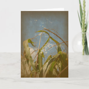 Corn Grunge Karte