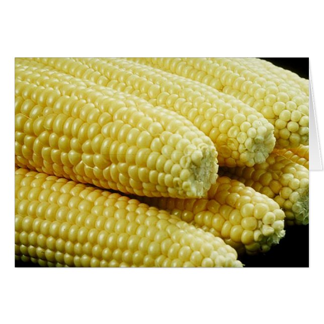 Corn on the Cob (Vorderseite (Horizontal))