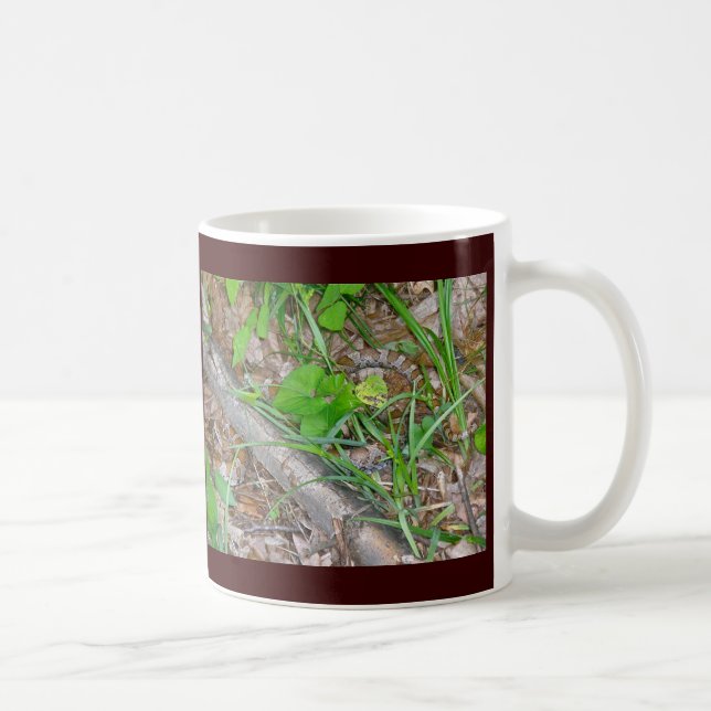 Corn Snake Tasse (Rechts)