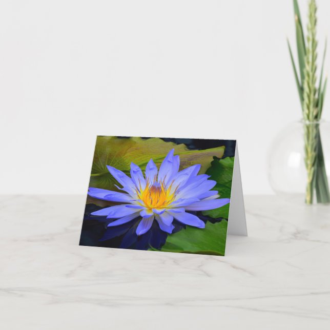Cornblume Blue Big Water Lily Hinweis Grußkarten Karte (Vorderseite)