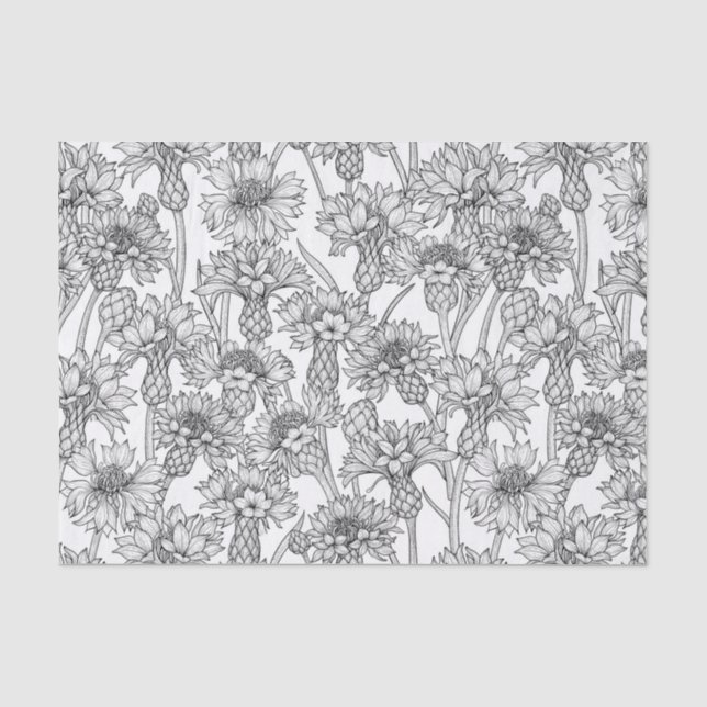 Cornblumen, Blume in Schwarz und Weiß Seidenpapier (Vorderseite)