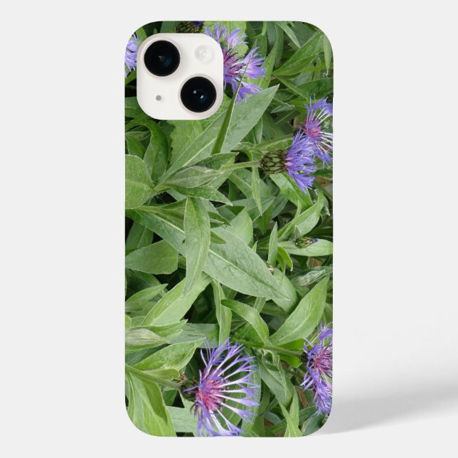 Cornblumen Case-Mate iPhone 14 Hülle (Rückseite)