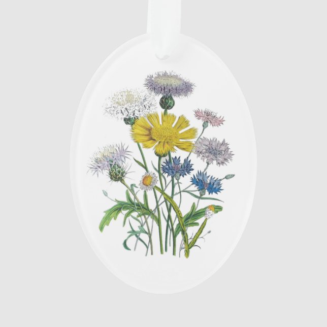 Cornblumen Ornament (Rückseite)