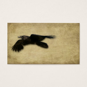 Corneille noire solitaire artistique