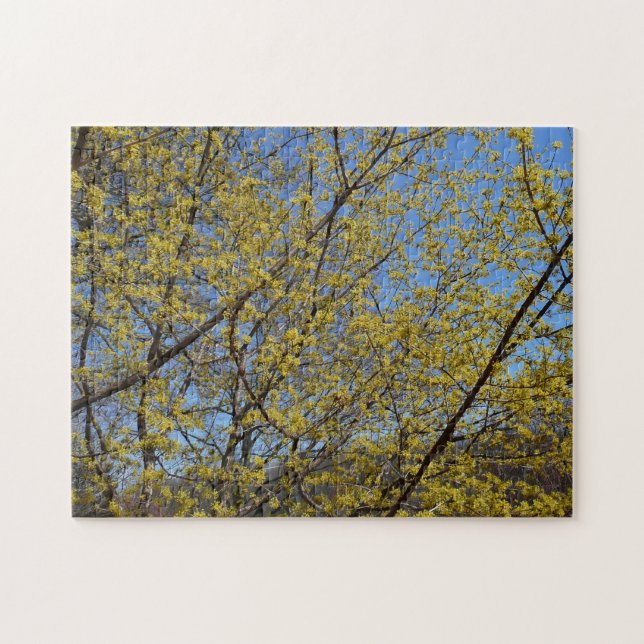 Cornelian Cherry Dogwood und Blue Sky Floral (Horizontal)