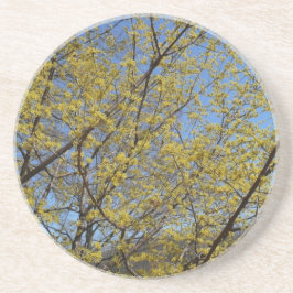 Cornelian Cherry Dogwood und Blue Sky Floral Sandstein Untersetzer
