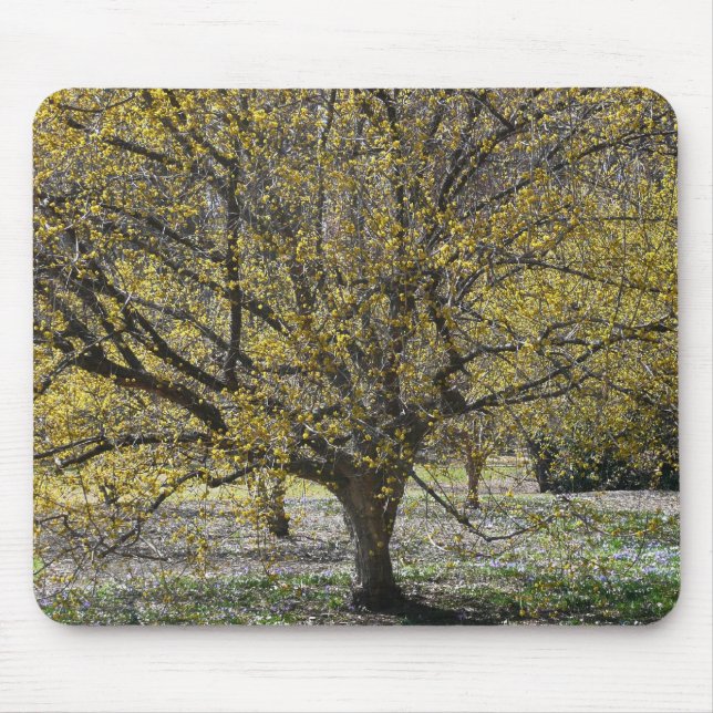 Cornelian Cherry Dogwood und Glory of the Snow Mousepad (Vorne)