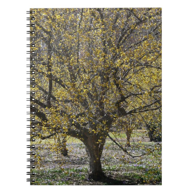 Cornelian Cherry Dogwood und Glory of the Snow Notizblock (Vorderseite)