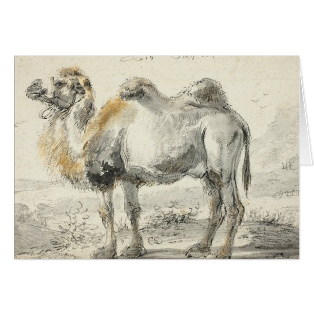 Cornelis Saftleven - A Camel (Vorderseite (Horizontal))