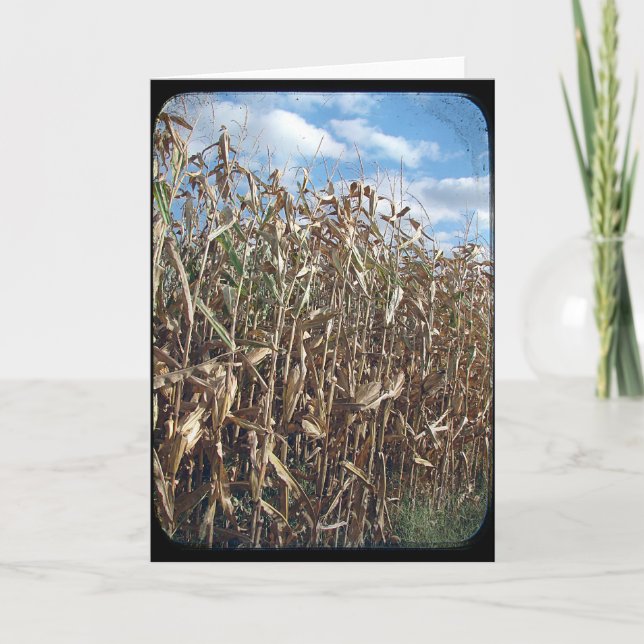 Cornfeld TTV Karte (Vorderseite)