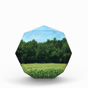 Cornfield in North North Carolina Fotoblock