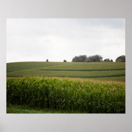 Cornfield Landschaft in den Hügeln Farbe 16x20 Poster