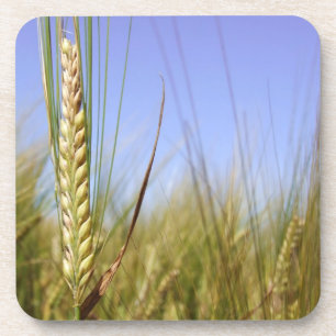 Cornfield-Untersetzer Getränkeuntersetzer