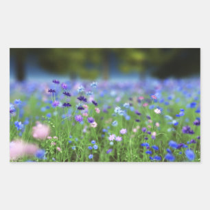 Cornflower-Blau-Aufkleber Rechteckiger Aufkleber