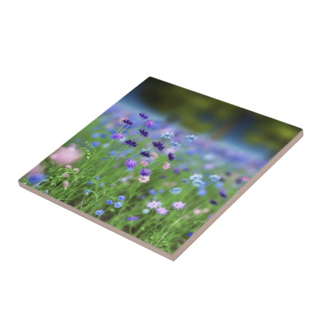 Cornflower-blaue dekorative Fliese (Seite)