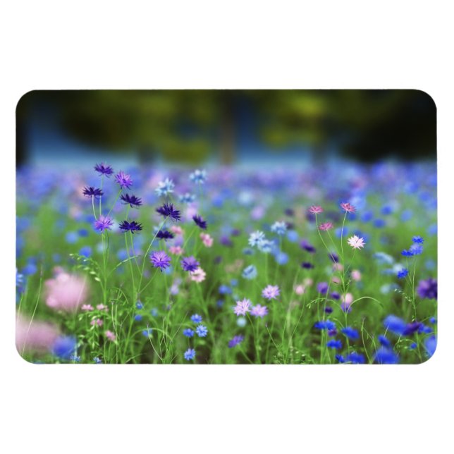 Cornflower Blue Flexible Magnet (Horizontal)