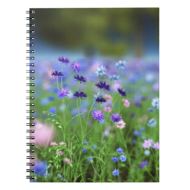 Cornflower Blue-Notebook Notizblock (Vorderseite)