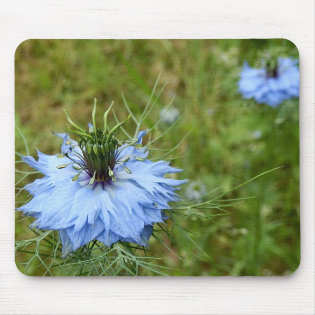Cornflower Mouse Mat Mousepad (Vorne)