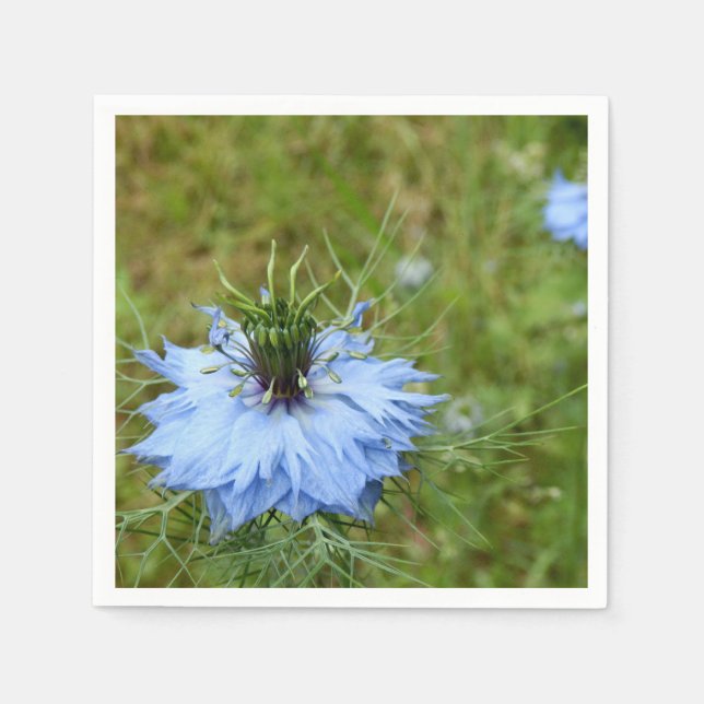 Cornflower Paper Napkins Serviette (Vorderseite)