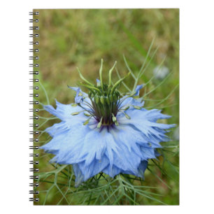 Cornflower Spiral Foto Notebook Notizblock