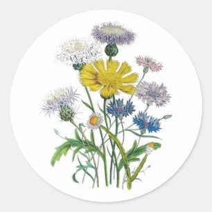 Cornflowers Runder Aufkleber