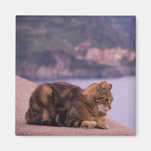 Corniglia, Cinque Terre, Italien Magnet