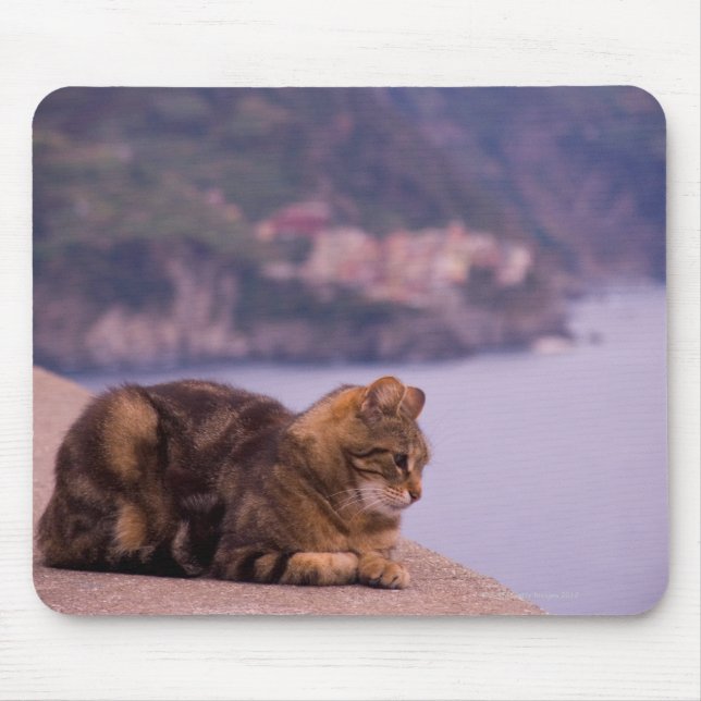 Corniglia, Cinque Terre, Italien Mousepad (Vorne)