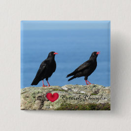 Cornisch Choughs (Palores) Pyrrhocorax pyrrhocorax Button