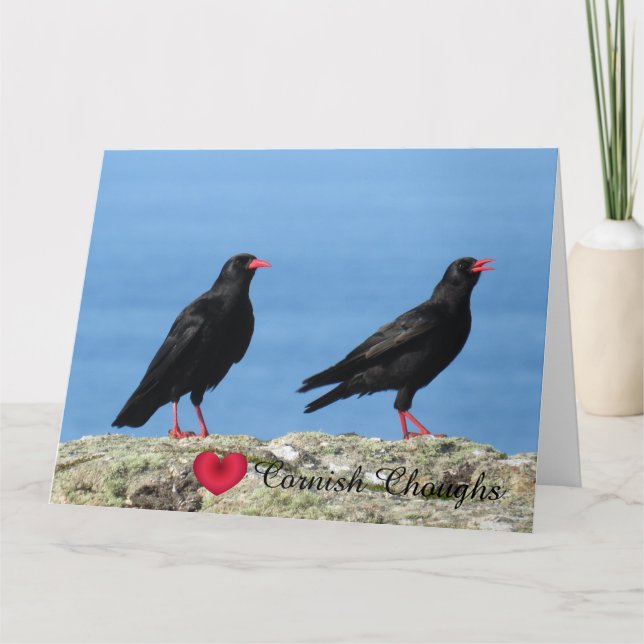 Cornisch Choughs (Palores) Pyrrhocorax pyrrhocorax Karte (Vorderseite)